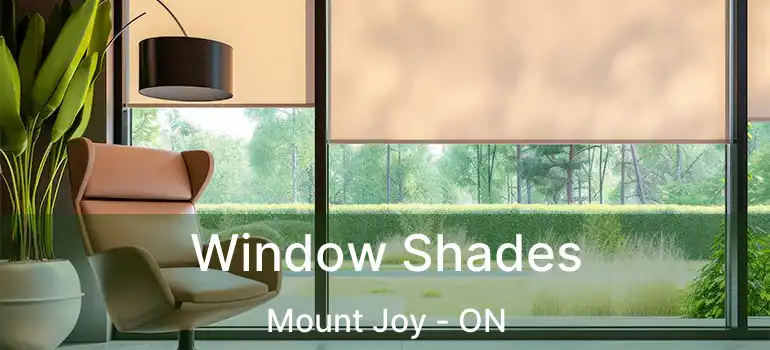  Window Shades Mount Joy - ON