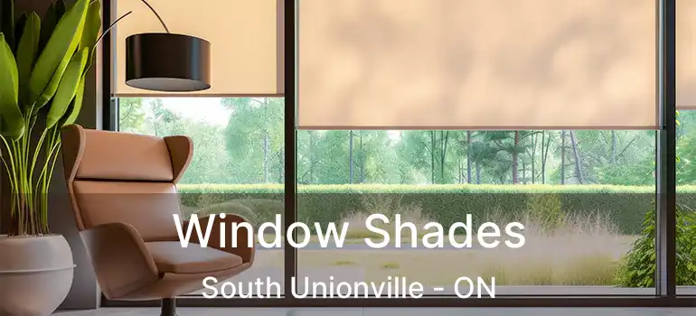  Window Shades South Unionville - ON