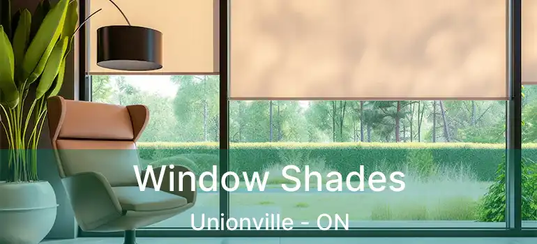  Window Shades Unionville - ON