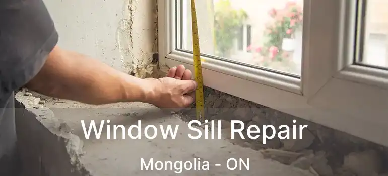  Window Sill Repair Mongolia - ON