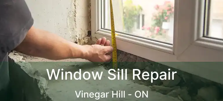  Window Sill Repair Vinegar Hill - ON