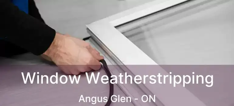  Window Weatherstripping Angus Glen - ON
