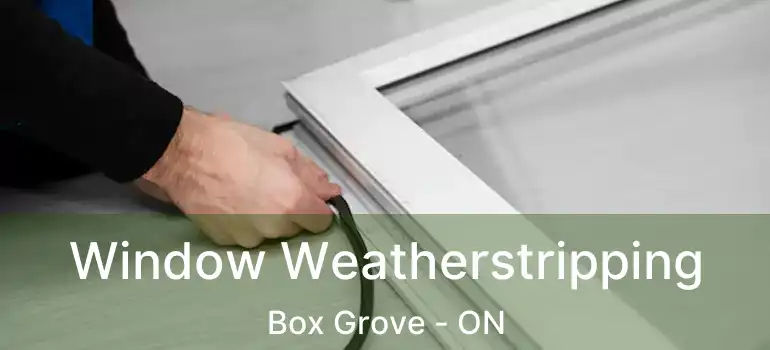  Window Weatherstripping Box Grove - ON