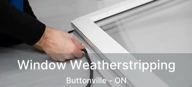  Window Weatherstripping Buttonville - ON