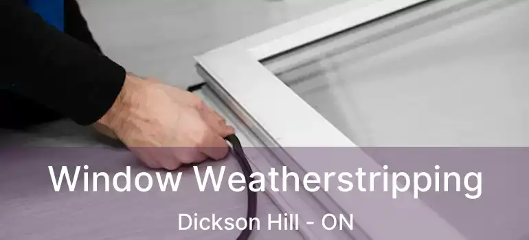  Window Weatherstripping Dickson Hill - ON
