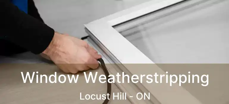  Window Weatherstripping Locust Hill - ON