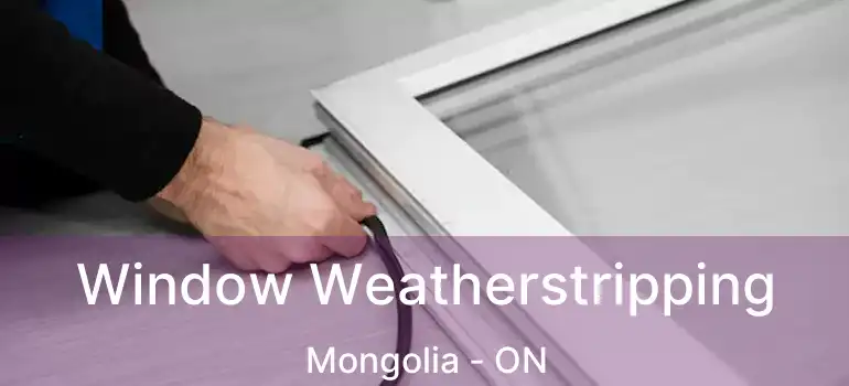  Window Weatherstripping Mongolia - ON