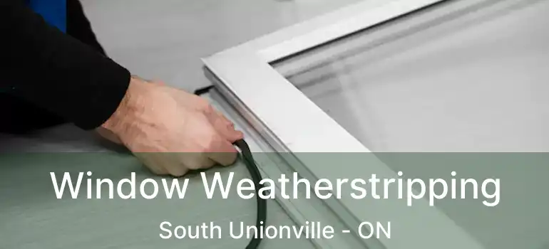  Window Weatherstripping South Unionville - ON