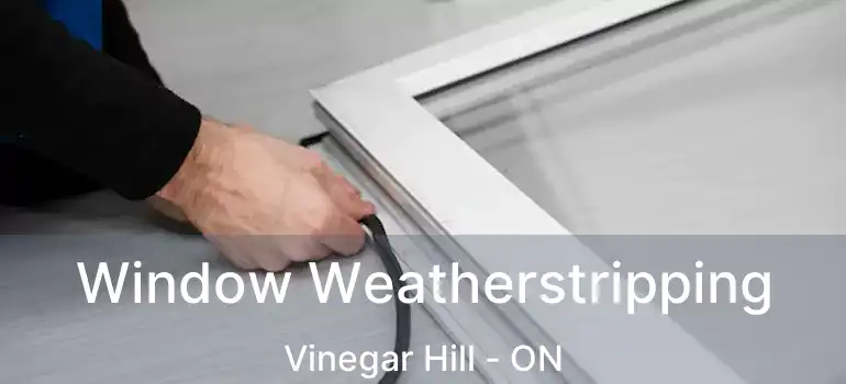  Window Weatherstripping Vinegar Hill - ON