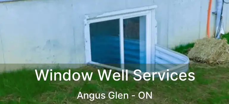  Window Well Services Angus Glen - ON