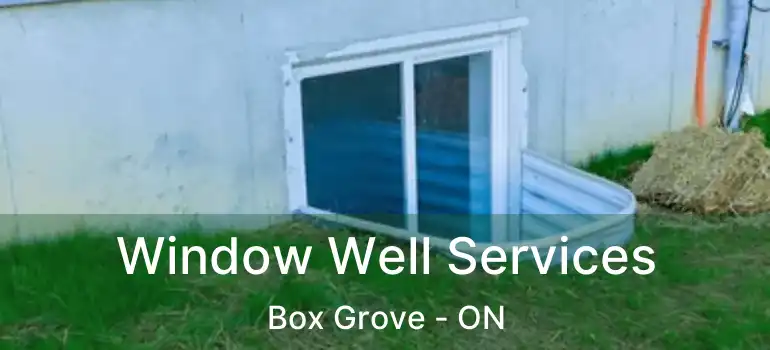  Window Well Services Box Grove - ON