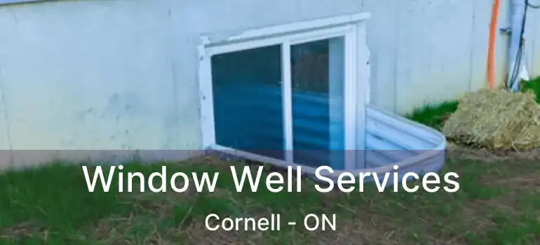  Window Well Services Cornell - ON