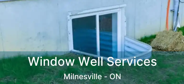  Window Well Services Milnesville - ON
