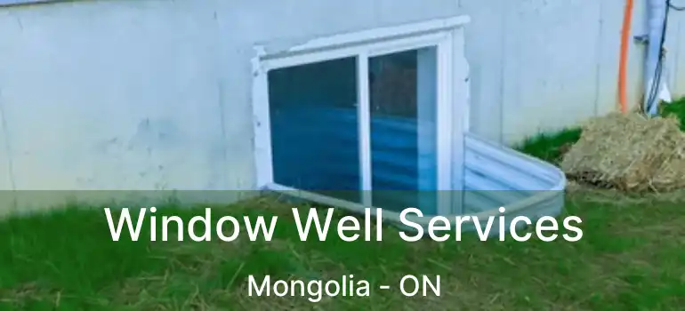  Window Well Services Mongolia - ON