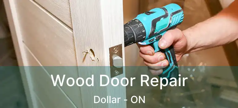  Wood Door Repair Dollar - ON