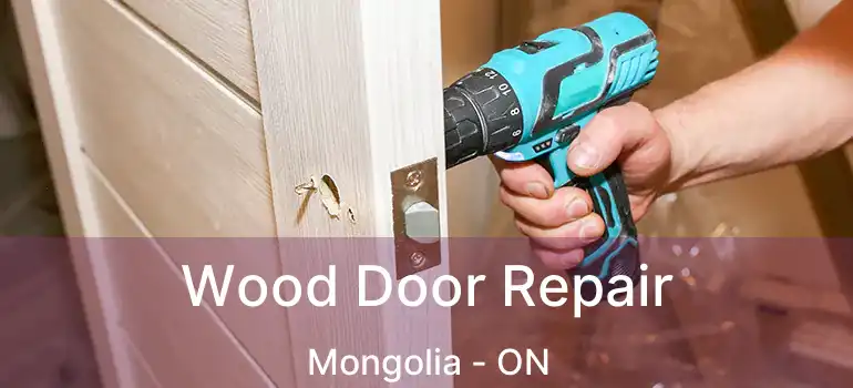  Wood Door Repair Mongolia - ON