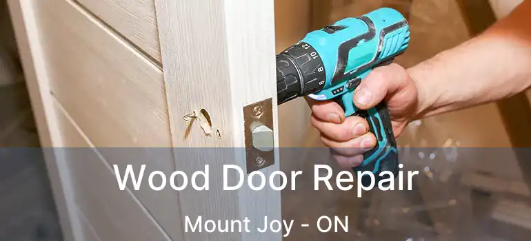  Wood Door Repair Mount Joy - ON