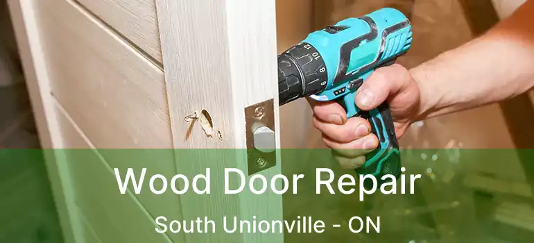 Wood Door Repair South Unionville - ON